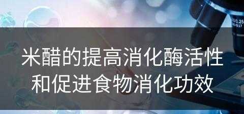 米醋的提高消化酶活性和促进食物消化功效